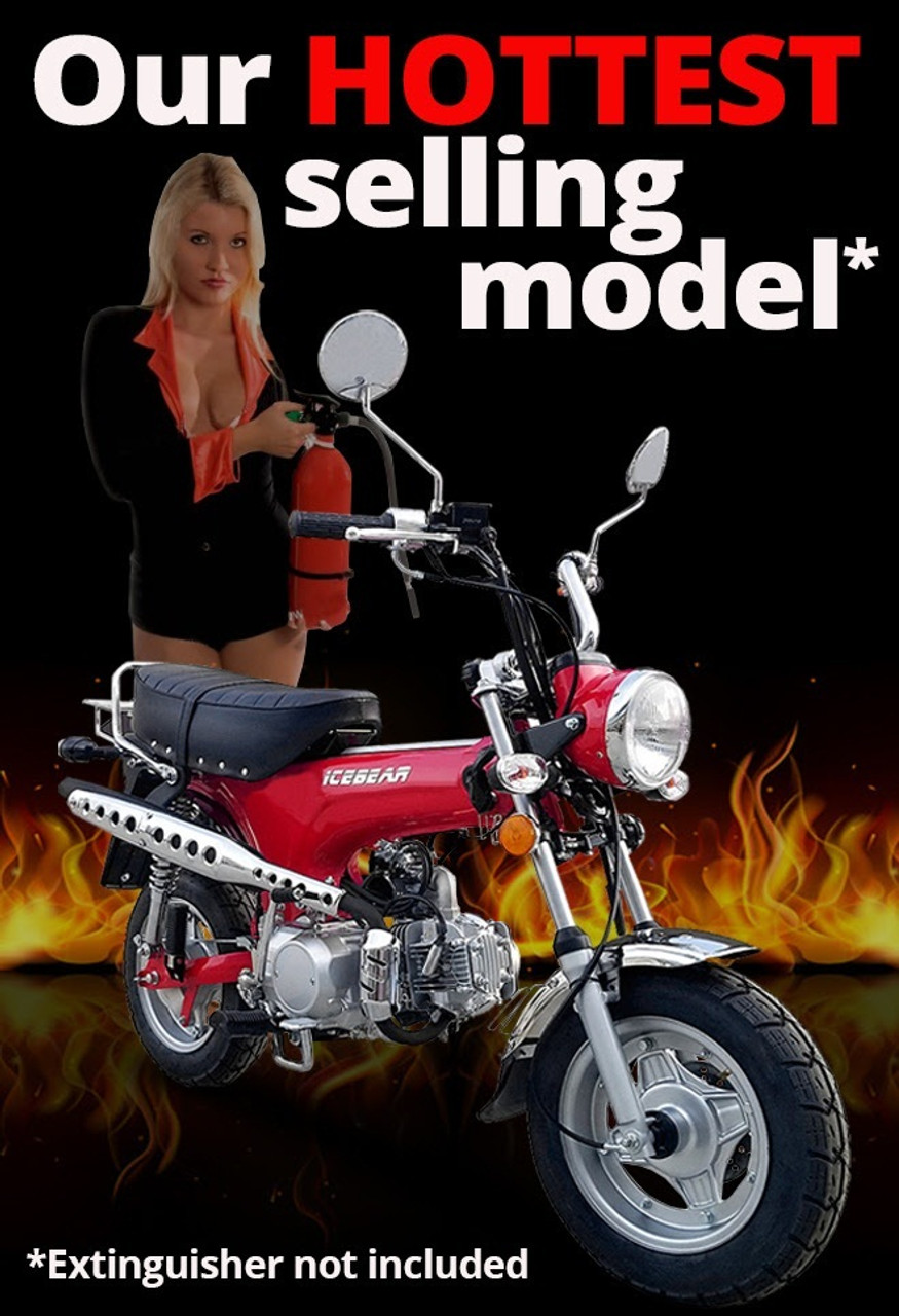 Buy NEW ICE BEAR 2019 CHAMPION MOPED SCOOTER 125CC for Sale