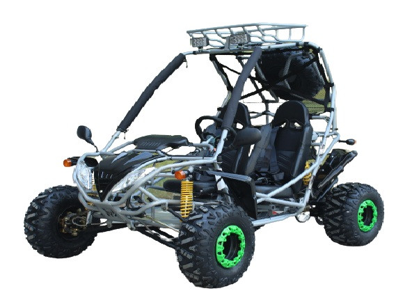 Dongfang 200cc (DF200GSA) GSA Go Kart For Sale | 360Powersports