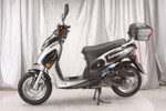Vitacci BAHAMA 50cc (QT-6) Scooter
