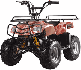 SMALL New ATV 110cc Hanma/110f (ATV 110CC W/ REAR AND FRONT RACK REMOTE KILL AND START & MORE)