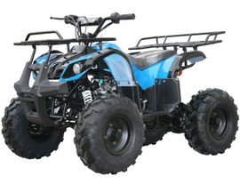 Coolster Assembled Kodiak-hd125 semi-auto atv mid size - Blue Coolster Assembled Kodiak-hd125 semi-auto atv mid size - Blue