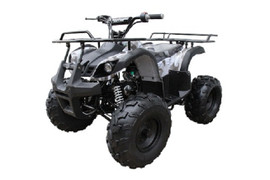Coolster Kodiak-hd125 semi-auto atv mid size - Gray Coolster Kodiak-hd125 semi-auto atv mid size - Gray