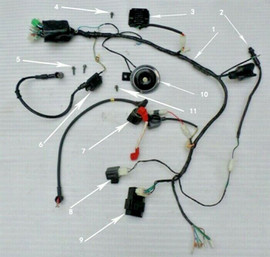 RPS Hawk 250 Horn RPS Hawk 250 Horn