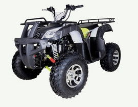 TaoTao BULL 200 169CC, Air Cooled, 4-Stroke, 1-Cylinder, Automatic - Fully Assembled and Tested - Yellow