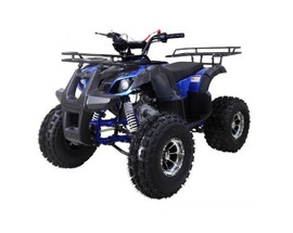 TaoTao 125CC NEW TFORCE Mid Size ATV, Automatic with Reverse, Air Cooled, 4-Stroke, 1-Cylinder - Fully Assembled and Tested - Left Front View TaoTao 125CC NEW TFORCE Mid Size ATV, Automatic with Reverse, Air Cooled, 4-Stroke, 1-Cylinder - Fully Assembled and Tested - Left Front View