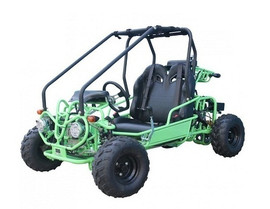 Taotao GK110 110CC Youth Go Kart, Air Cooled, 4-Stroke, 1-Cylinder, Automatic with Reverse -  Fully Assembled And Tested