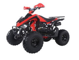 tao motor atv