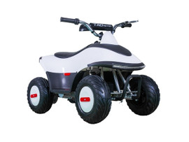 TaoTao ROVER350 350 Watt ATV, Brush Electric Motor Fully Assembled and Tested - Right Side View TaoTao ROVER350 350 Watt ATV, Brush Electric Motor Fully Assembled and Tested - Right Side View