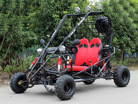 Vitacci Mini Jaguar DF125GKB 125CC Go kart, Automatic with Reverse, Electric Start Vitacci Mini Jaguar DF125GKB 125CC Go kart, Automatic with Reverse, Electric Start