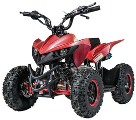 New Vitacci Mini Racer 60cc ATV, Single Cylinder, 4-Stroke, Air Cooled, Automatic, Electric Start New Vitacci Mini Racer 60cc ATV, Single Cylinder, 4-Stroke, Air Cooled, Automatic, Electric Start