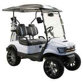 MASSIMO MGC2 48V GOLF CART UTV, 48V AC MOTOR MASSIMO MGC2 48V GOLF CART UTV, 48V AC MOTOR