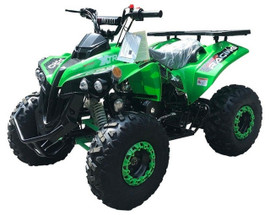 VITACCI PRO 125CC ATV, FULL-AUTOMATIC WITH REVERSE VITACCI PRO 125CC ATV, FULL-AUTOMATIC WITH REVERSE