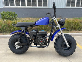 Mudstar 200 Offroad Bike, 200cc Pull Start Engine - Side View Mudstar 200 Offroad Bike, 200cc Pull Start Engine - Side View