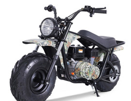 TaoTao DB200 196cc Dirt Bike, Automatic- Available In Fully Assembled and Tested - Tree Camo TaoTao DB200 196cc Dirt Bike, Automatic- Available In Fully Assembled and Tested - Tree Camo
