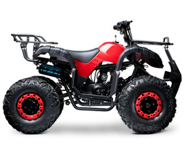 Made in Vietnam Goldenwing New Bull 125 ATV, 125cc Air Cooled, 4-Stroke, 1-Cylinder, Automatic Made in Vietnam Goldenwing New Bull 125 ATV, 125cc Air Cooled, 4-Stroke, 1-Cylinder, Automatic