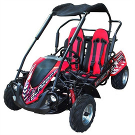 TrailMaster Blazer 200R, Air Cooled 4-Stroke, Single Cylinder Go Kart TrailMaster Blazer 200R, Air Cooled 4-Stroke, Single Cylinder Go Kart
