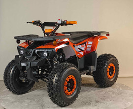 Vitacci 125cc Youth ATV with Air Cooled 4-Stroke Engine - Electric Start, Chain Drive, Hydraulic Disc Brake Vitacci 125cc Youth ATV with Air Cooled 4-Stroke Engine - Electric Start, Chain Drive, Hydraulic Disc Brake