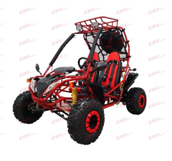 Dongfang DF200GSA-25 200cc Go-Kart – Full Size Automatic Go-Kart with Reverse