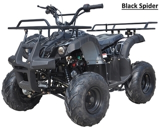 ICE BEAR 125cc Youth Quad ATV Automatic with Reverse, Remote Kill, 7" Wheel (PAH125-8S) - Black