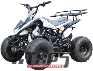 ICE BEAR 125cc "Big Cat" ATV Automatic with Reverse, Remote Kill, 19" Big Tires (PAH125-12)