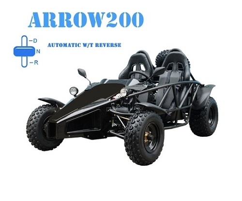 TaoTao ARROW200 169Cc, Air Cooled, 4-Stroke, 1-Cylinder, Automatic With Reverse