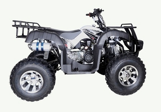 TaoTao New BULL 200 169CC, Air Cooled, 4-Stroke, 1-Cylinder, Automatic - Gray