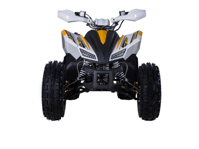 TAOTAO REX 120CC Electric Start ATV, Air Cooled, 4-Stroke, 1-Cylinder, Automatic With Reverse  - Available in Crate - Front View