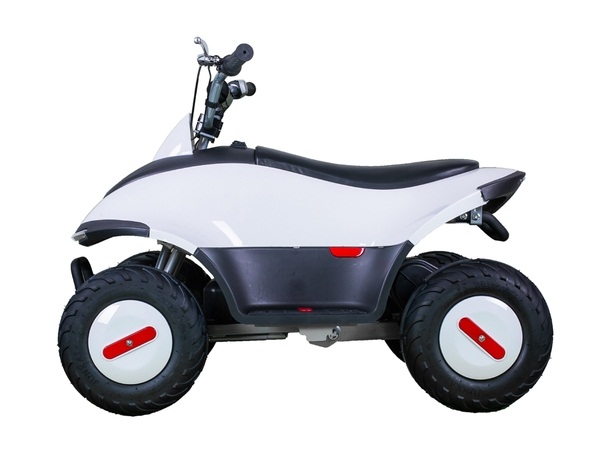 TaoTao ROVER350 350 Watt ATV, Brush Electric Motor - Left Side View