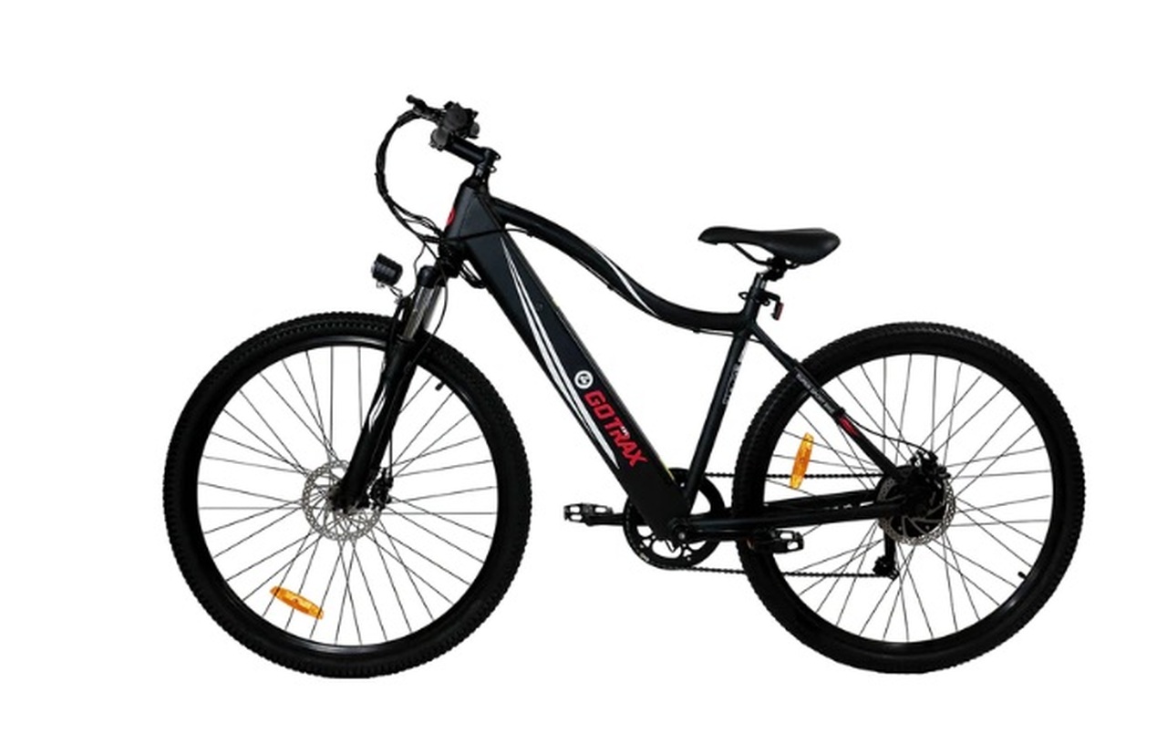 Gotrax Alpha XL Electric Bike