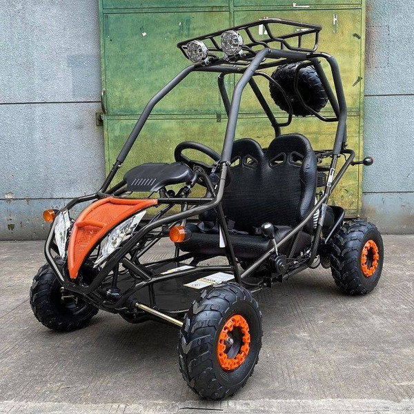 DongFang 200cc GVA-21 Go Kart, Auto With Reverse, High Power Engine, Rear Independent Suspension, Remote Control Shutoff, Spare Wheel