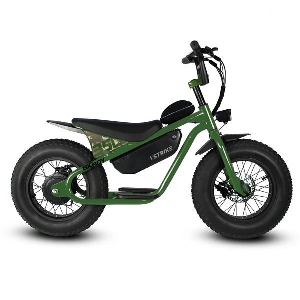 SRPNT Big Boy Electric Bike , 350W Motor & 36V Battery