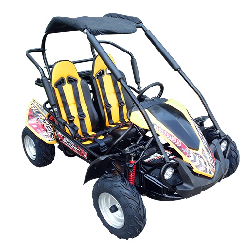 TrailMaster Blazer 200R-A, Air Cooled 4-Stroke, Single Cylinder Go Kart Assembled Version