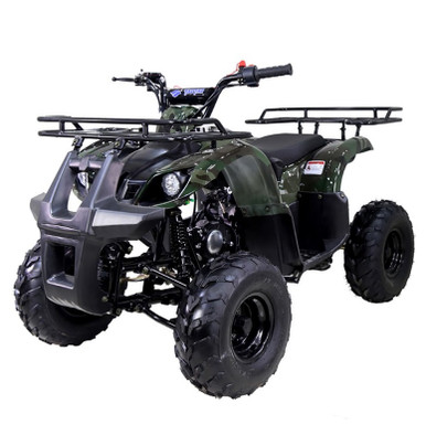 Buy the TaoTao ATA-125 D ATV | Kids 120cc Four Wheelers