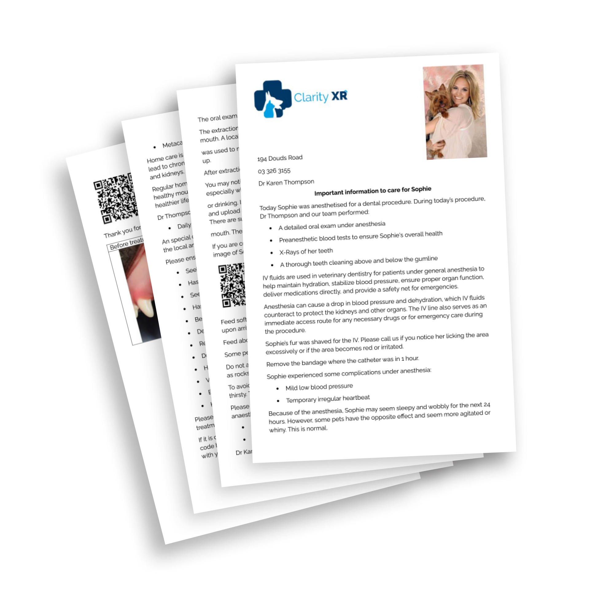 Veterinary discharge report example