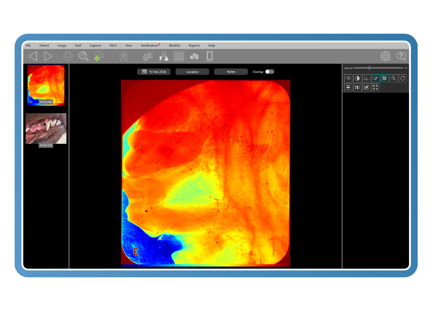 Pseudo-colour applied