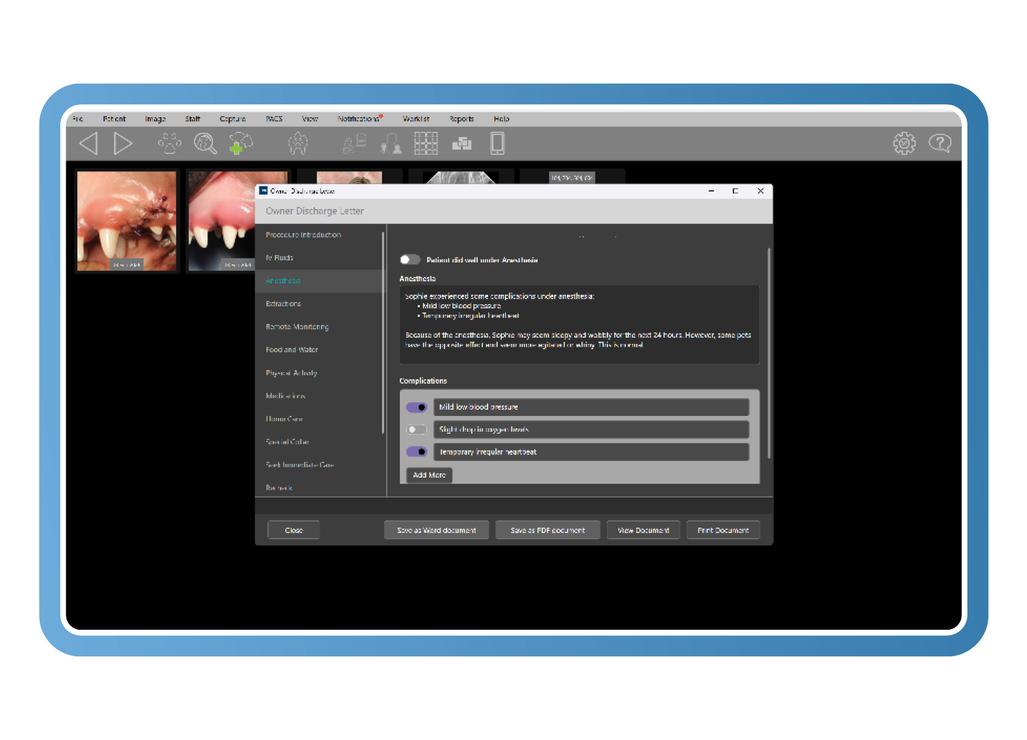 Veterinary discharge report example