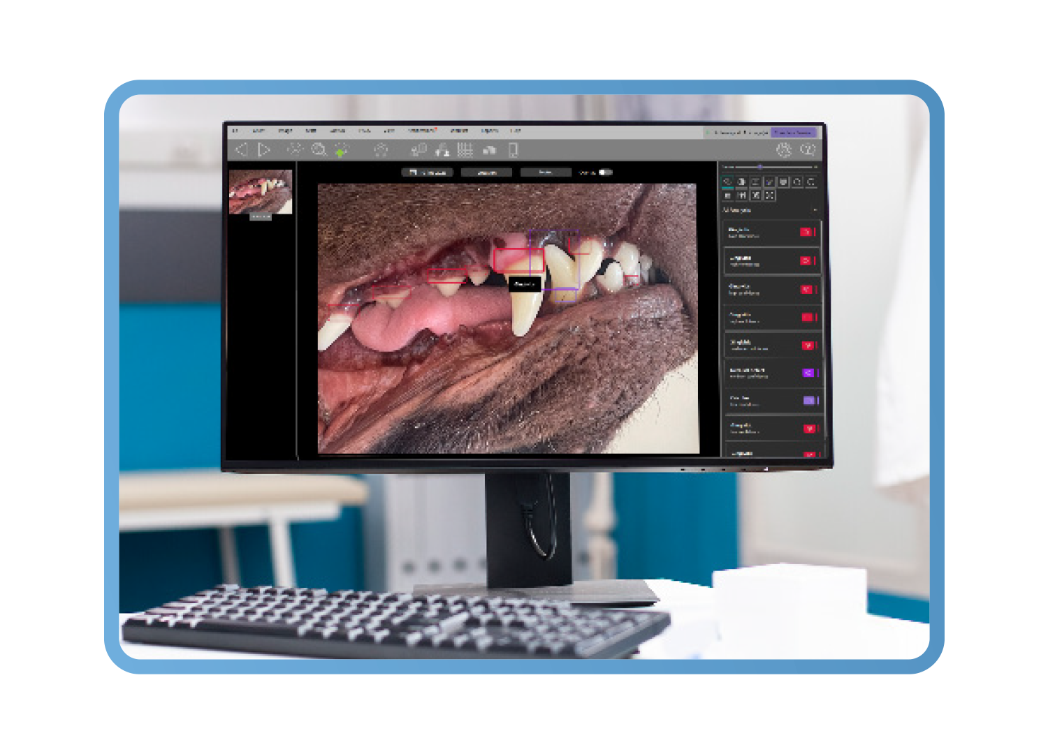 View and share X-ray diagnostic results with pet owners - Dental X-ray-Software
