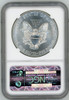 2015 (W) ASE MS70 NGC Early Releases Struck at West Point Mint SILVER label