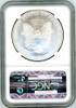 2013 ASE MS69 NGC First Releases eagle label