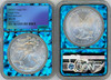 2025(P) ASE Eagle Privy MS70 NGC First Releases prism core