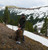 Clement Puffy Jacket field image