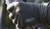 Kinetic Merino Fingerless Glove with bow and arrow