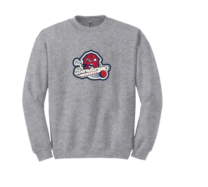 Barnstormers - Heavy Blend Crewneck Sweatshirt