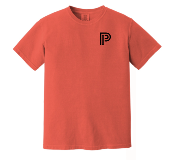 Princeton University Press Comfort Colors Tee
