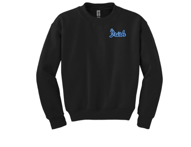 Jr. Irish Football with Development/Everything Back Print