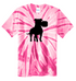 817 Pittie Pickleball