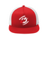 Allentown Dragons Lacrosse -  Snapback Hat