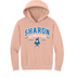 Sharon School Comfort Colors Lightweight Hoodie with School Slogan