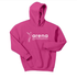 Arena - Heavy Blend Hooded Sweatshirt