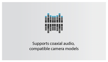 Coax Audio ICON